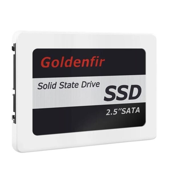 Disco Duro SSD Goldenfir 256GB
